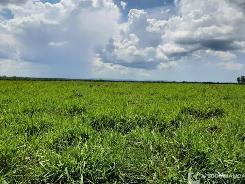 Fazenda - Foto 1