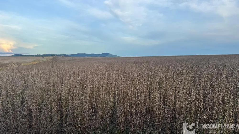 Fazenda - Foto 5