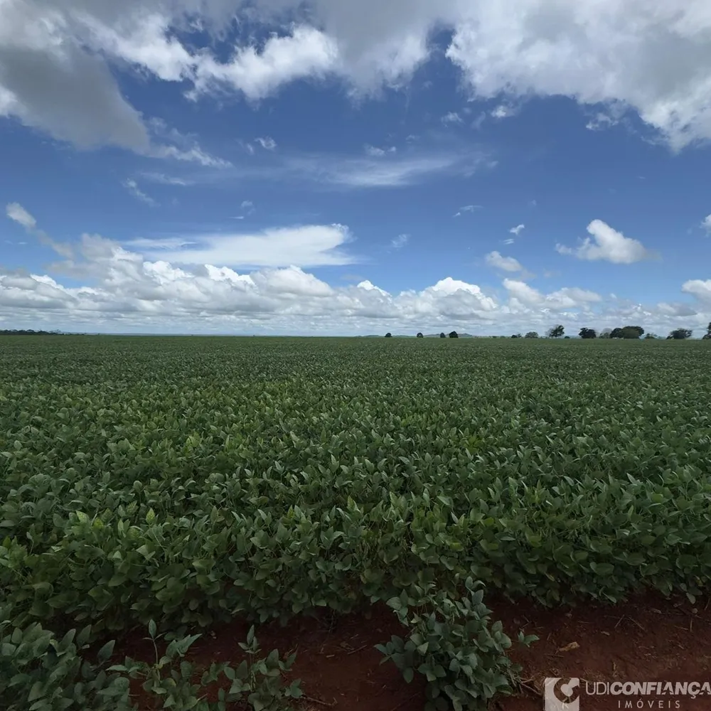 Fazenda - Foto 8