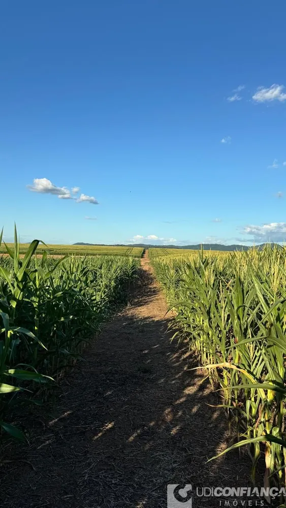 Fazenda - Foto 6