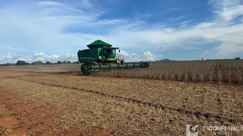 Fazenda - Foto 4