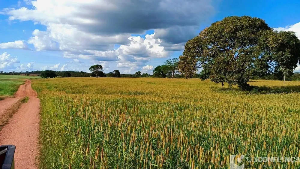 Fazenda - Foto 5
