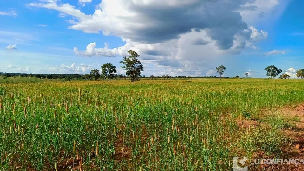 Fazenda - Foto 7