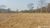 Fazenda - Foto 1