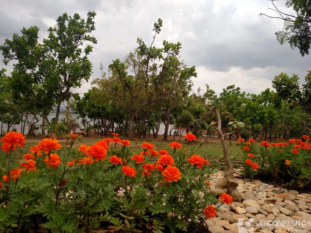 Fazenda - Foto 2
