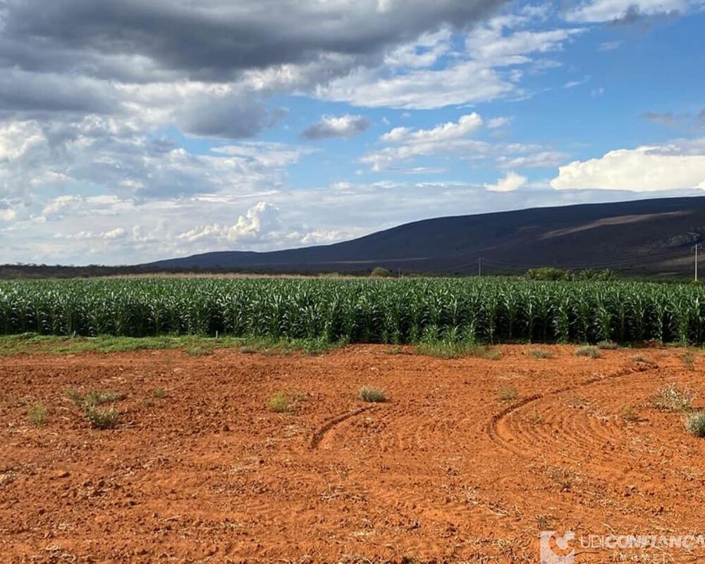 Fazenda - Foto 22