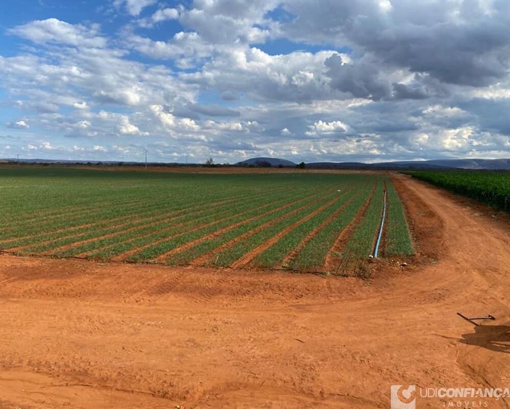 Fazenda - Foto 27
