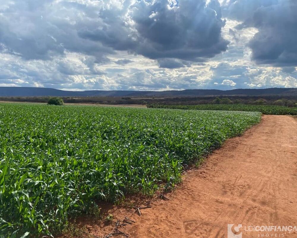 Fazenda - Foto 25