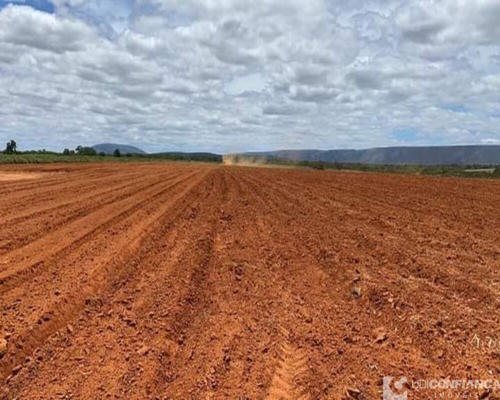 Fazenda - Foto 5