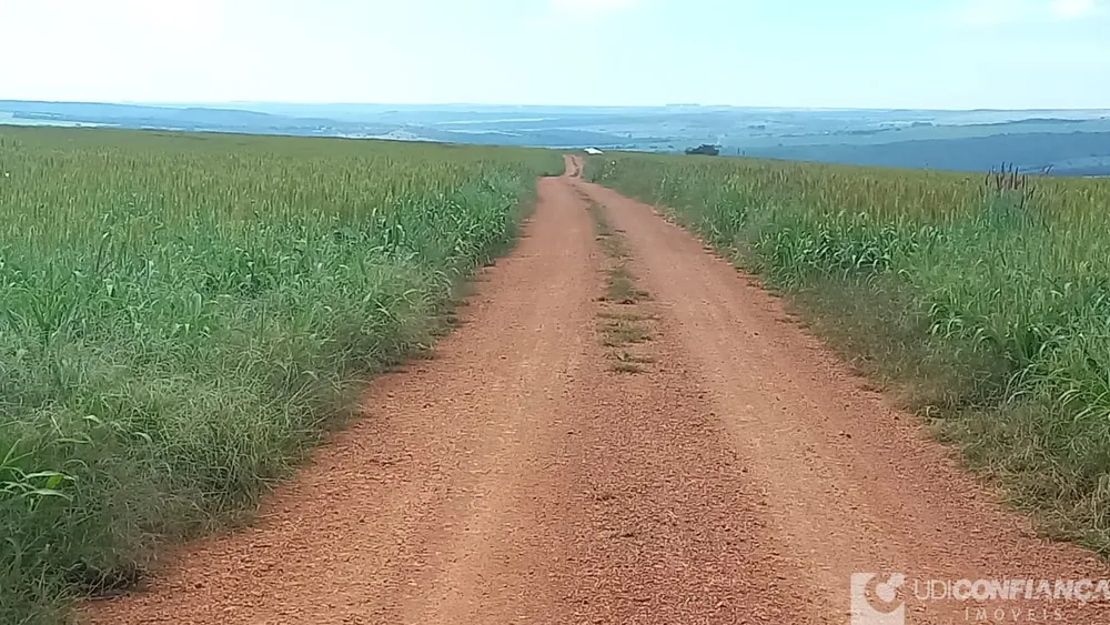 Fazenda - Foto 2