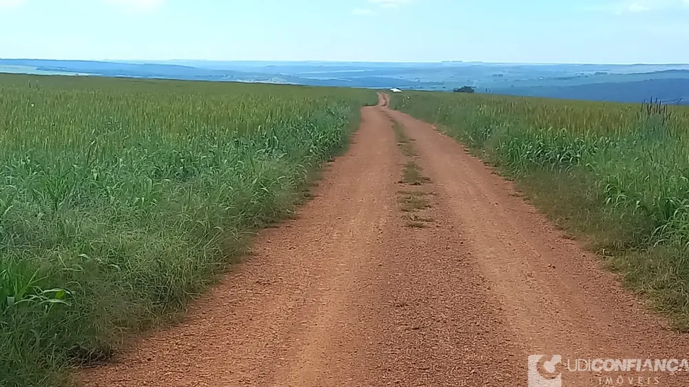 Fazenda - Foto 4