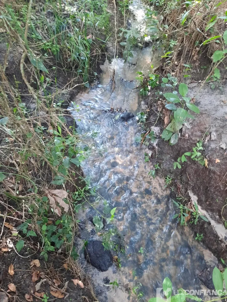 Fazenda - Foto 2