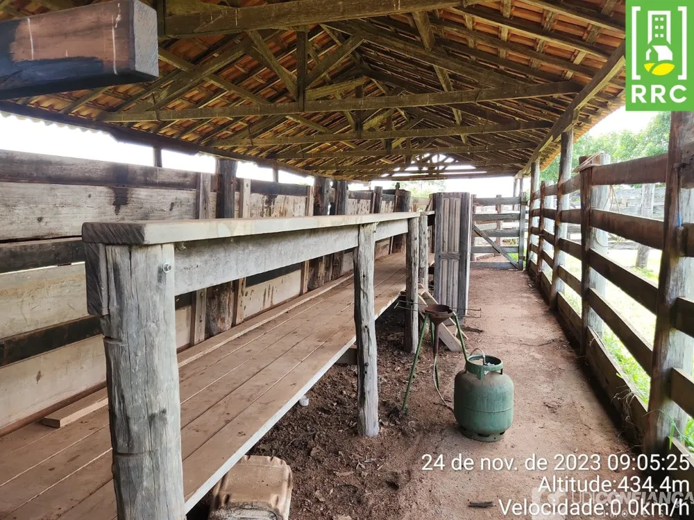 Fazenda - Foto 7