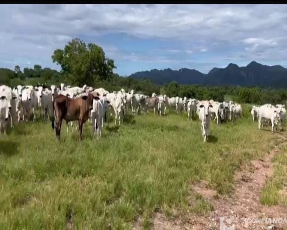 Fazenda-Sítio-Chácara, 2725 m² - Foto 2