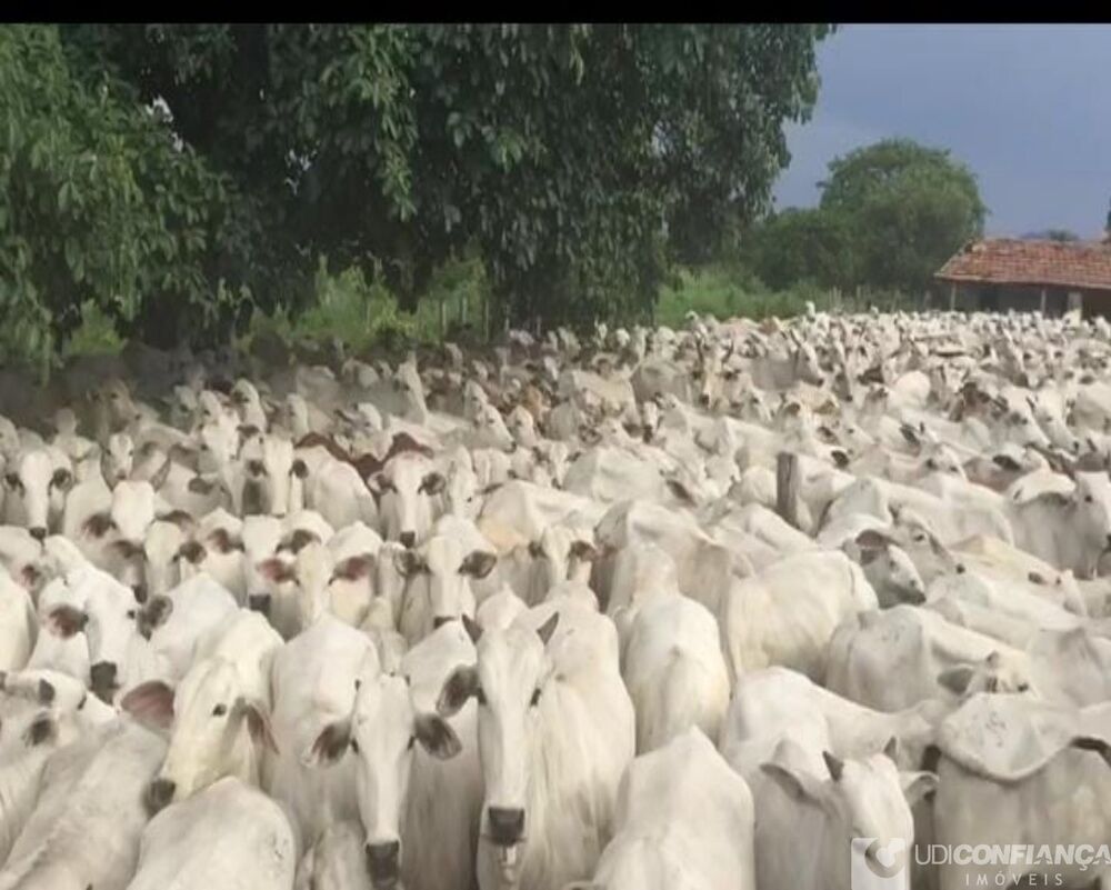 Fazenda-Sítio-Chácara, 2725 m² - Foto 1