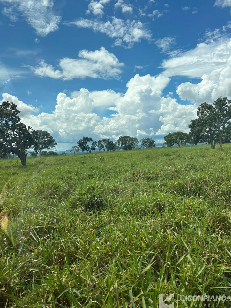 Fazenda - Foto 4