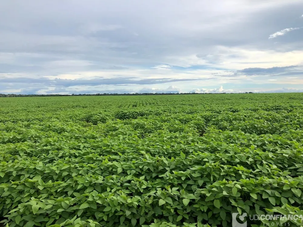 Fazenda - Foto 4