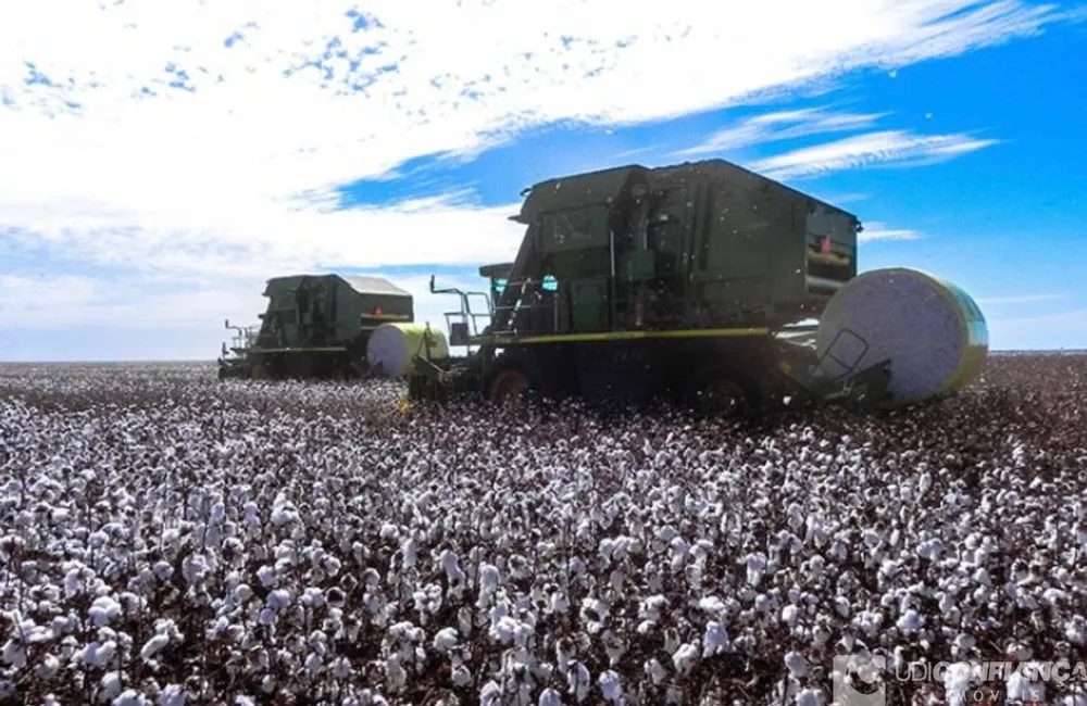 Fazenda - Foto 7