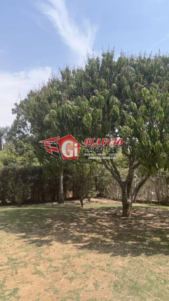 Chácara, 3 quartos, 1000 m² - Foto 4