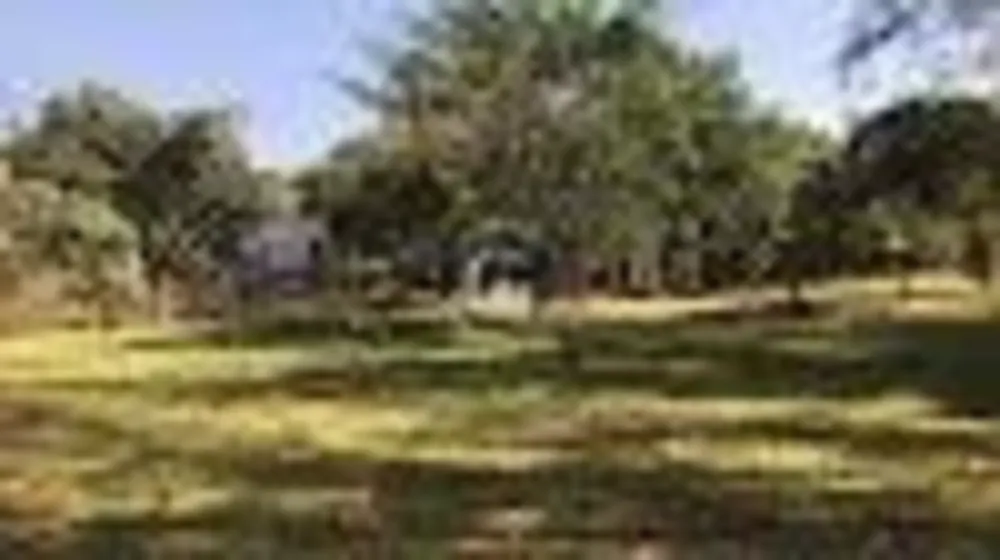 Casa, 5 quartos, 800 m² - Foto 27