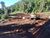 Terreno, 2 hectares - Foto 3