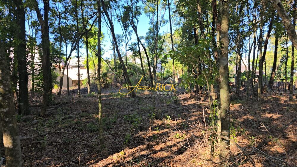 Terreno à venda, 585m² - Foto 2