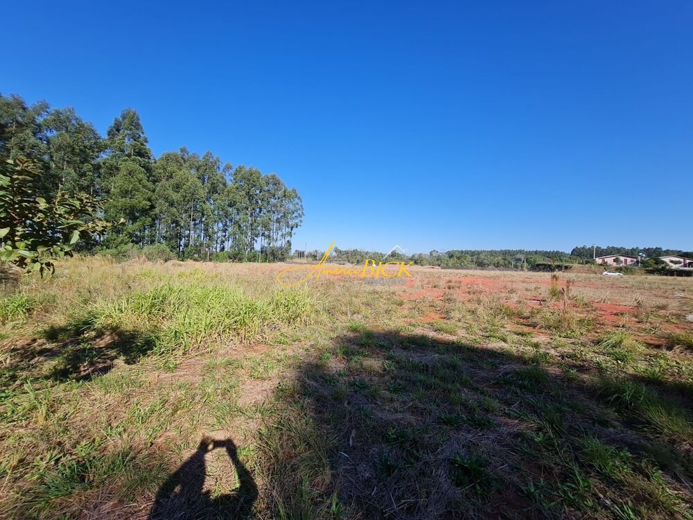 Loteamento e Condomínio, 1 hectares - Foto 4