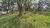 Terreno, 1563 m² - Foto 4
