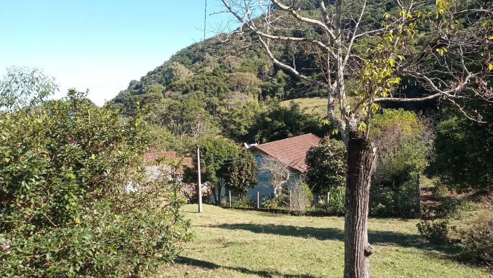 Sítio, 3 quartos, 37 hectares - Foto 5