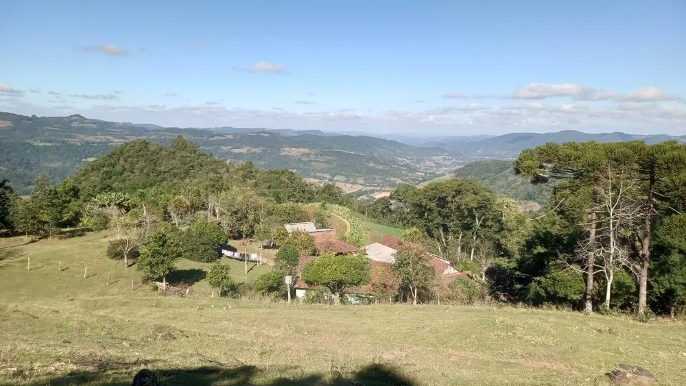 Sítio, 3 quartos, 37 hectares - Foto 3