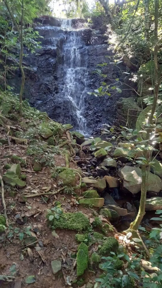 Sítio, 3 quartos, 37 hectares - Foto 7