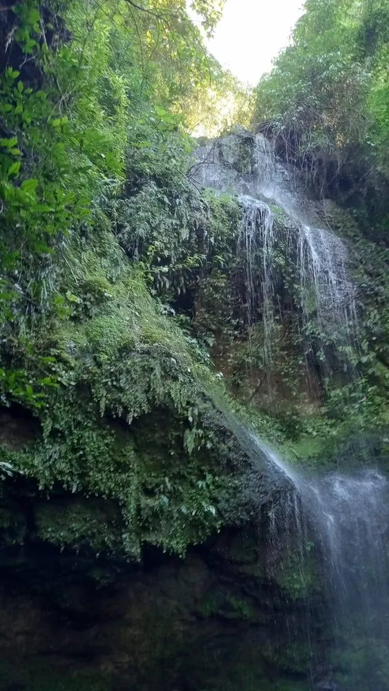 Sítio, 3 quartos, 37 hectares - Foto 4
