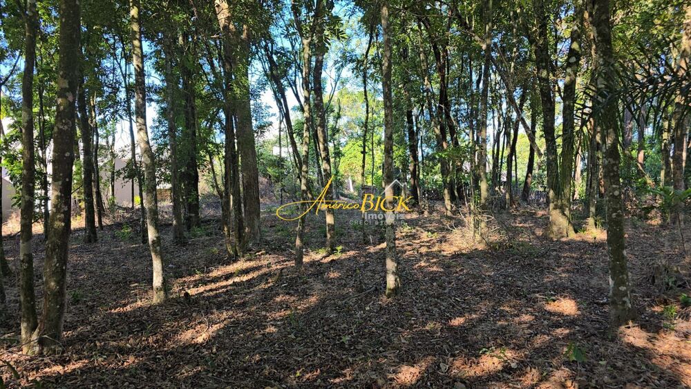 Terreno à venda, 585m² - Foto 2