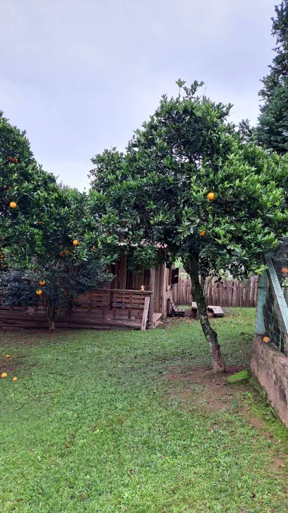 Chácara, 3 quartos, 5000 m² - Foto 1