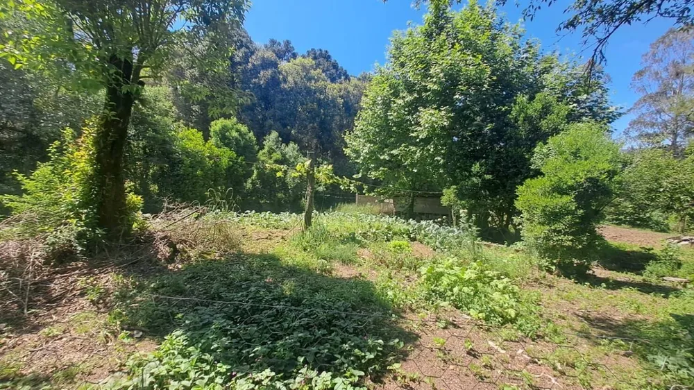 Terreno, 16 hectares - Foto 6