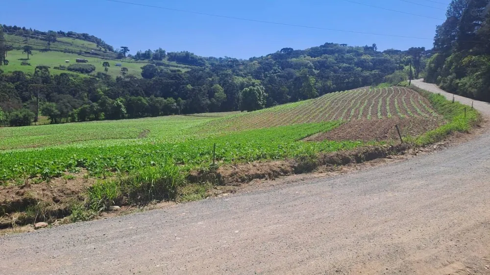 Terreno, 16 hectares - Foto 4