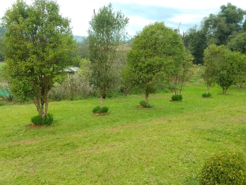 Terreno, 20 hectares - Foto 7