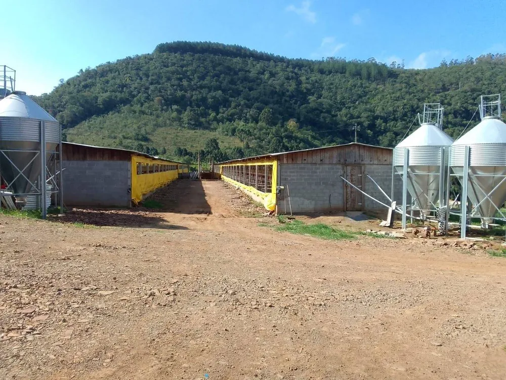 Terreno, 20 hectares - Foto 3