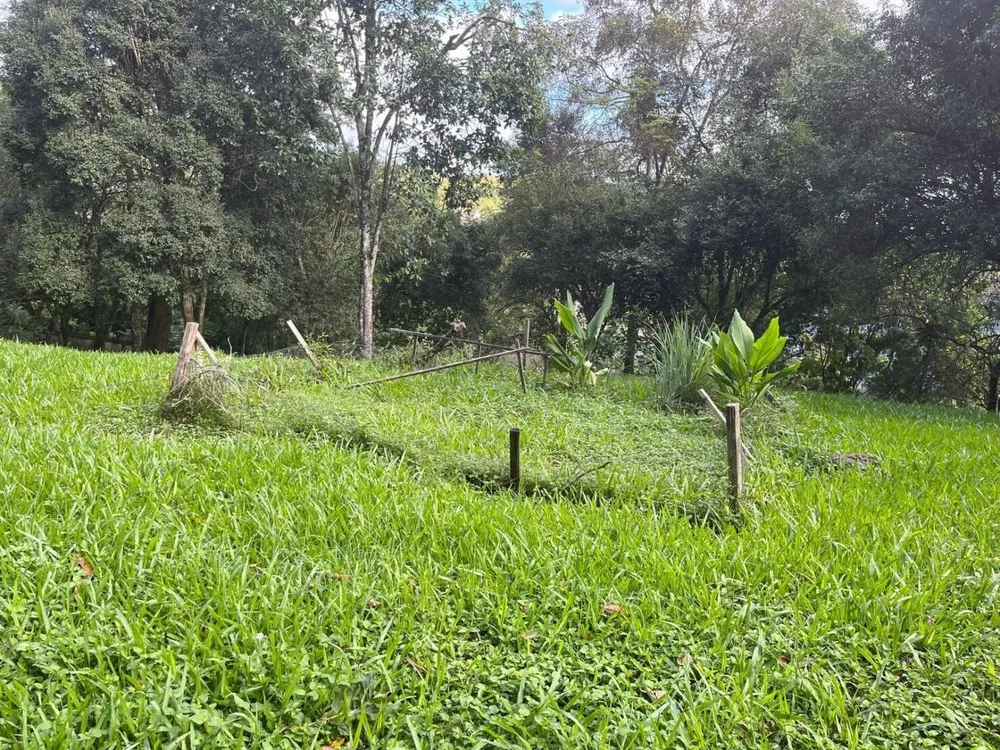 Terreno, 2139 m² - Foto 2