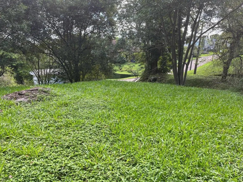 Terreno, 2139 m² - Foto 3