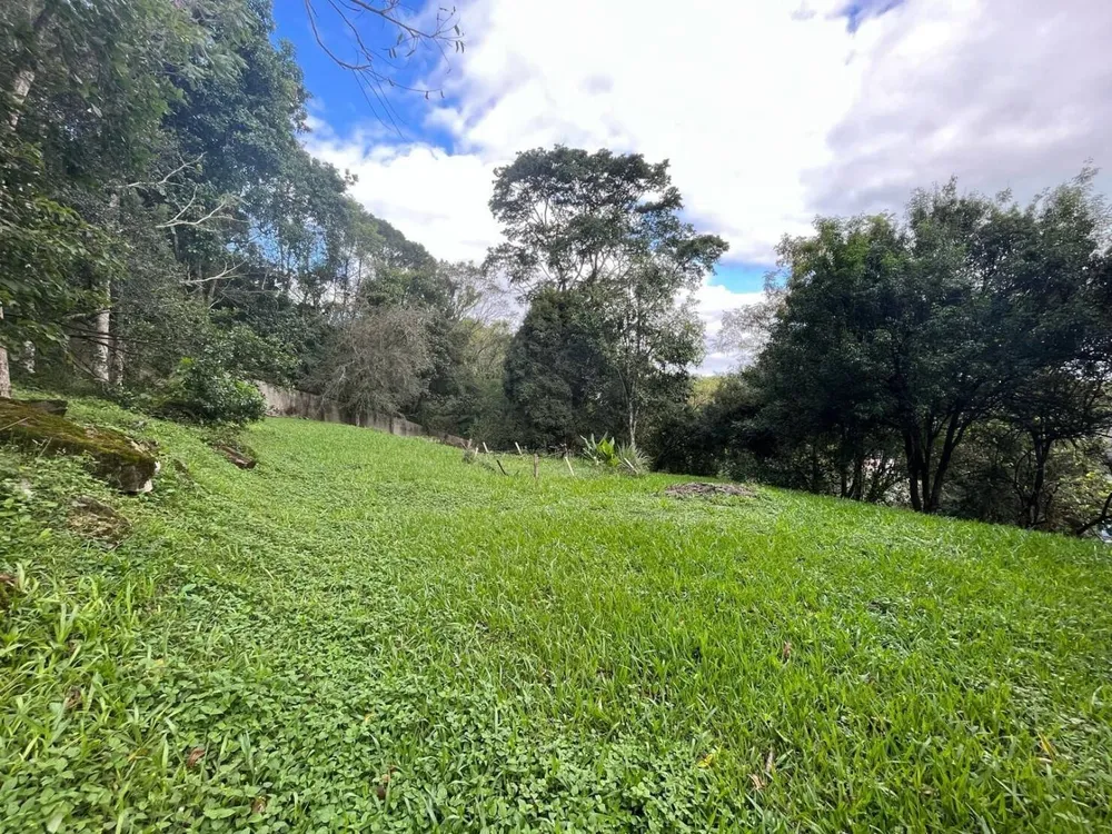 Terreno, 2139 m² - Foto 4