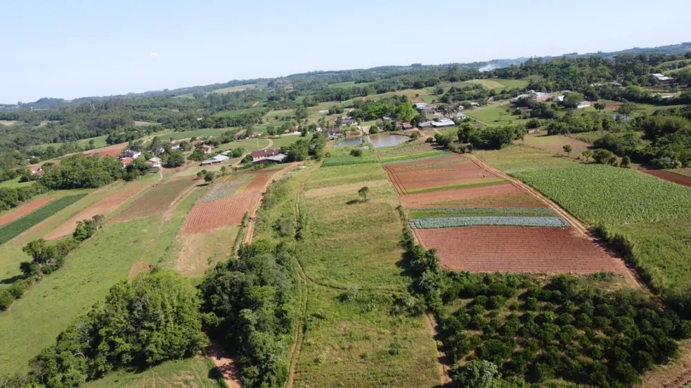 Sítio, 3 quartos, 6 hectares - Foto 4