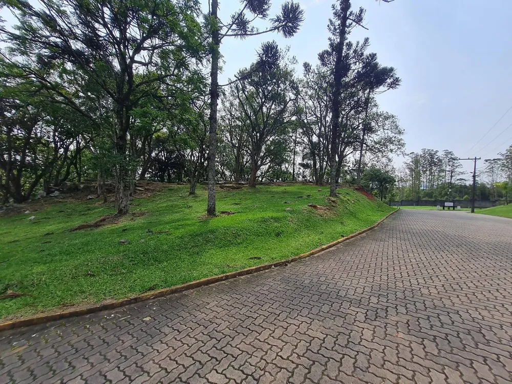 Apartamento, 776 m² - Foto 2