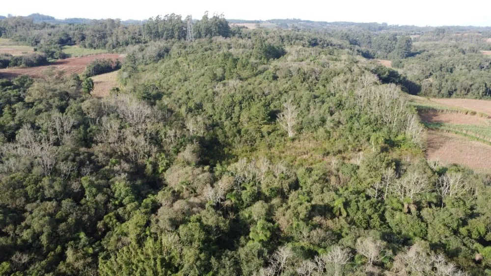 Terreno, 7 hectares - Foto 6