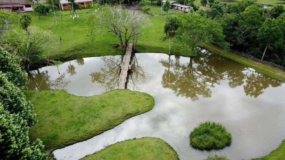 Sítio, 3 quartos, 21 hectares - Foto 6