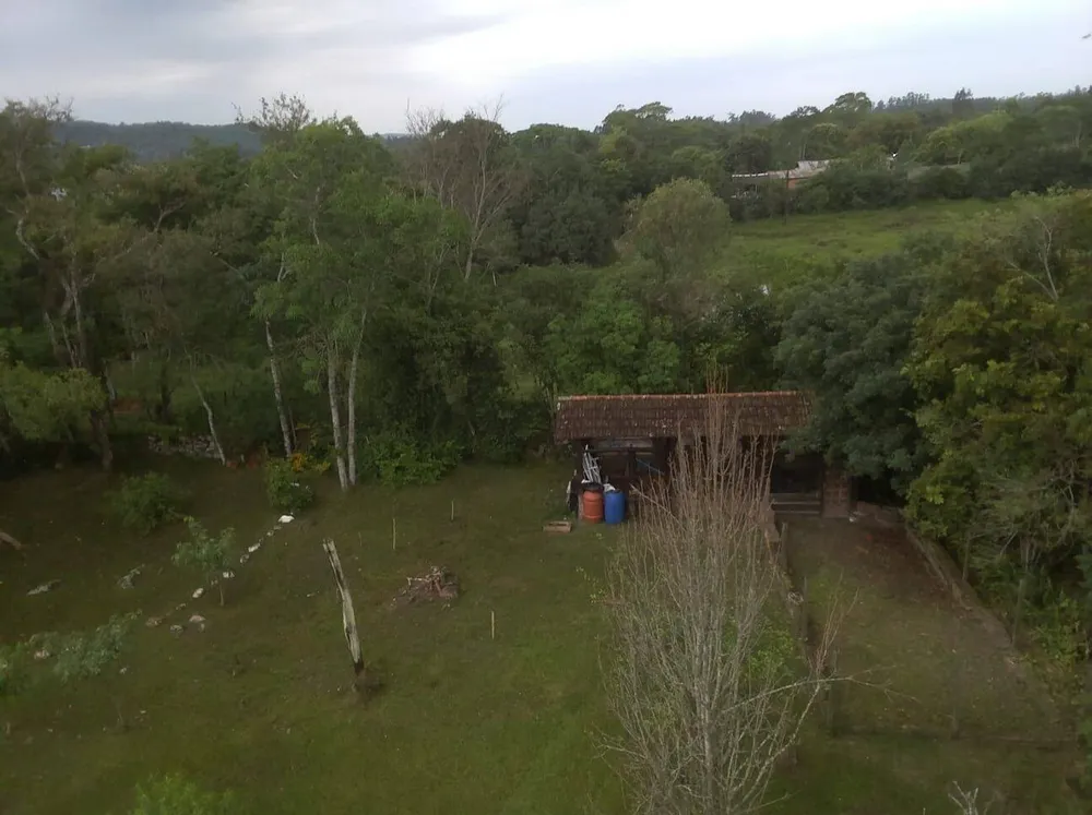 Terreno, 6 hectares - Foto 3