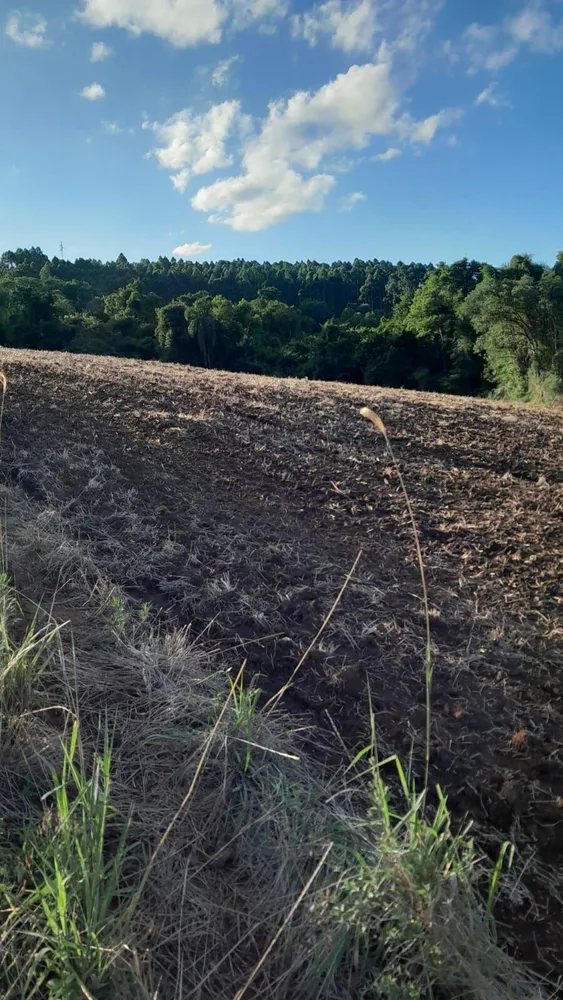 Terreno, 6 hectares - Foto 1