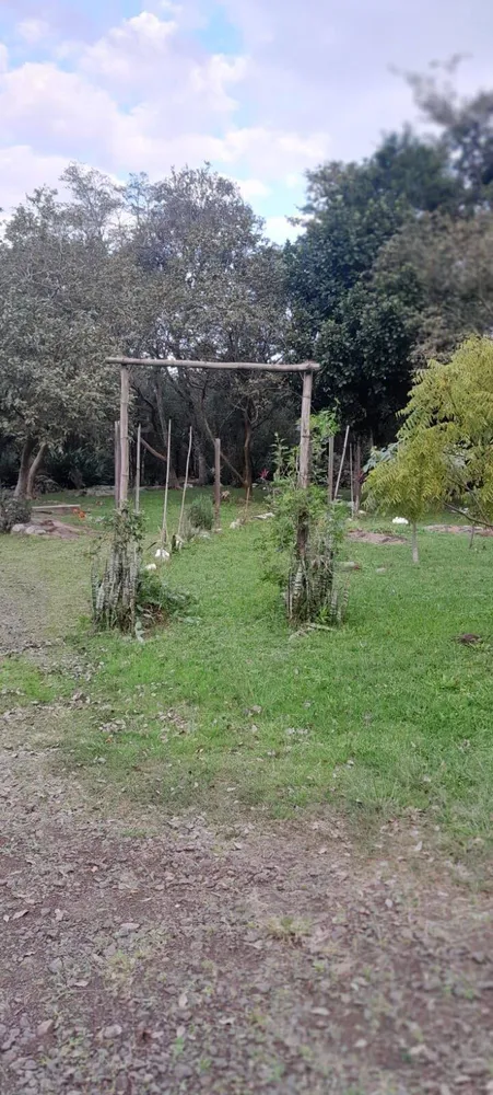 Terreno, 6 hectares - Foto 4