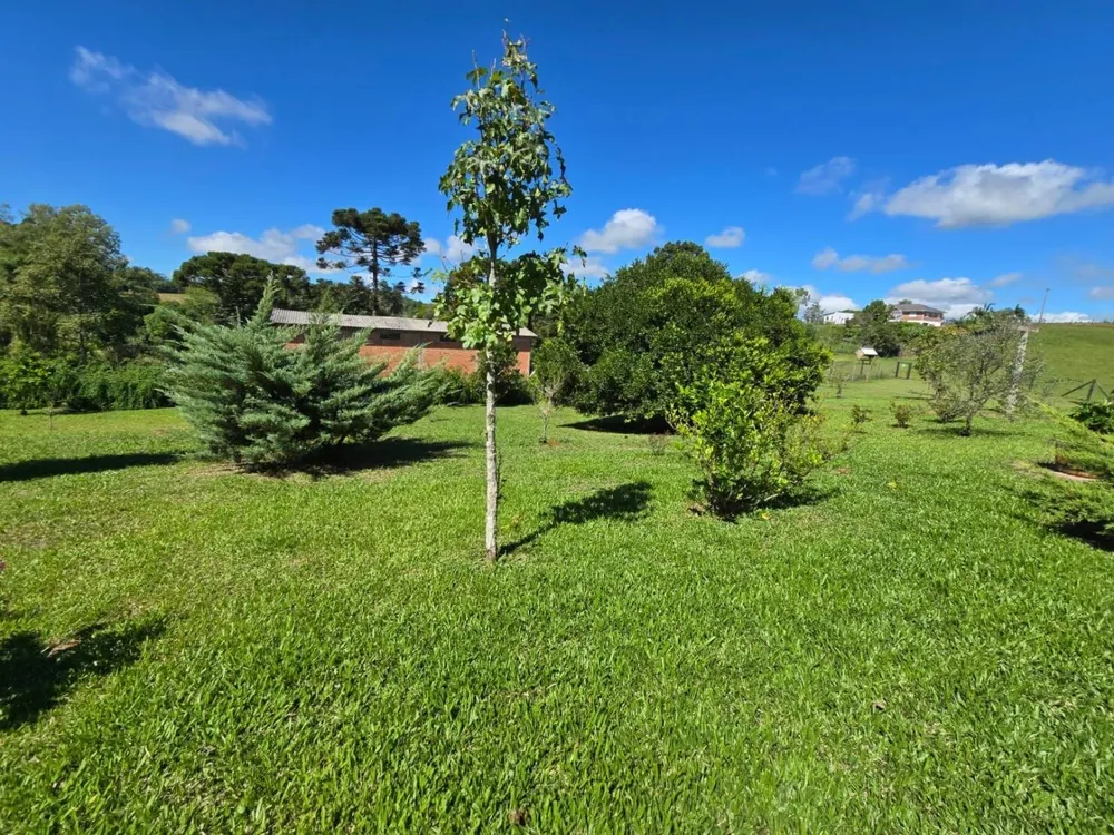 Chácara, 3 quartos, 3 hectares - Foto 7