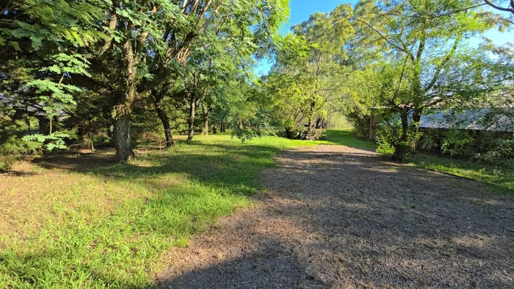 Chácara, 1 quarto, 3 hectares - Foto 1